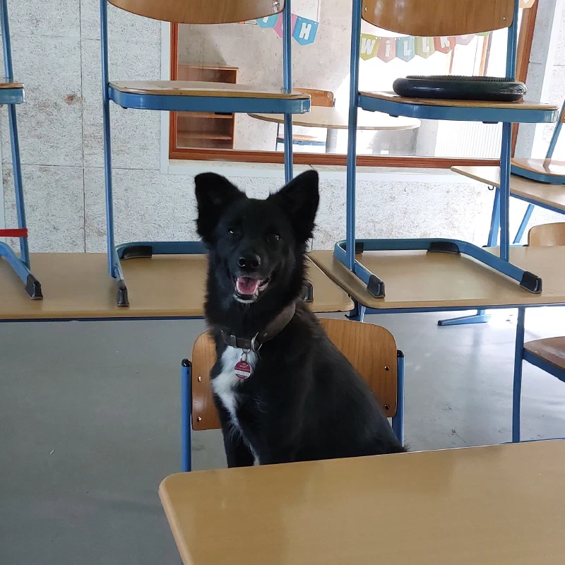 Willkommen bei Krokolani