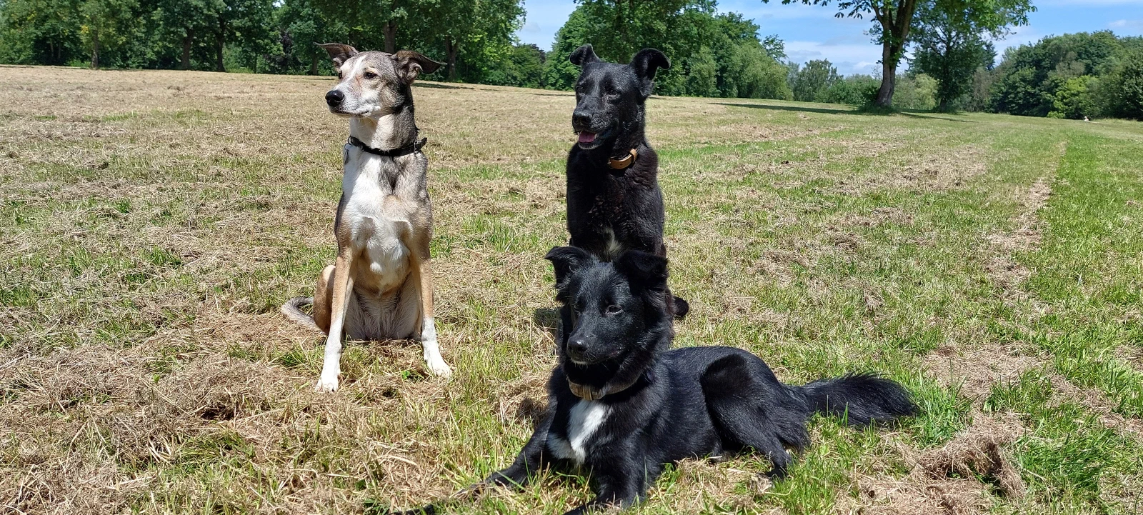Lani, Ipa und Kamea